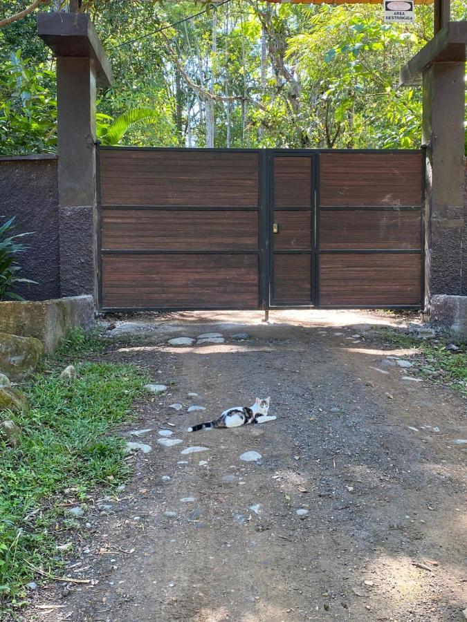 The Temple Ii, Mindo Hotel Exterior photo